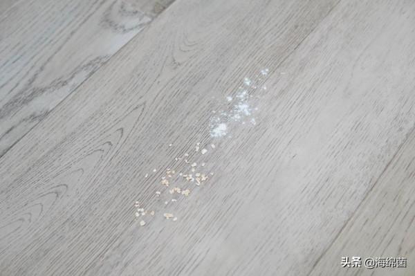 2個月無需倒垃圾，自動集塵不髒手：360掃地機器人S8 Plus使用體驗