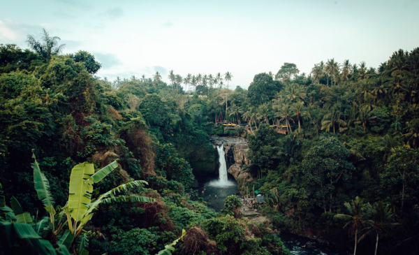 老謀深算，又隨性自在的星座，他們如同狐狸般狡猾，一直惹不起