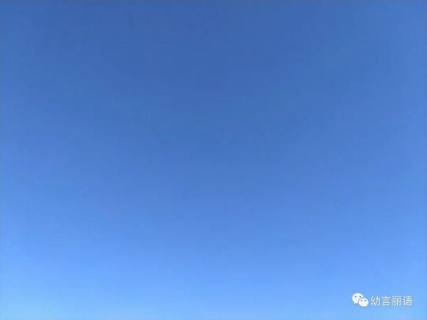 小狗歡歡生病記 小狗歡歡生病記