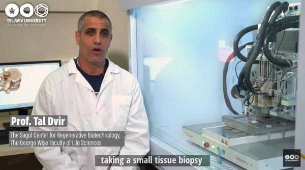 癱瘓小鼠接受人類脊髓組織移植，能重新走路了！或將治癒諸多絕症