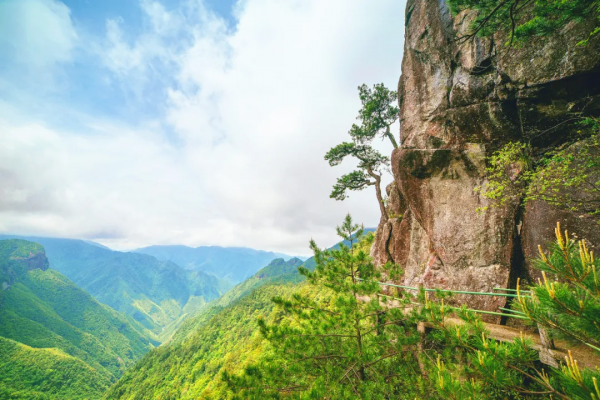 秋日私藏，走起！浙江10條小眾古道，你去過幾條