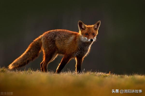 民間故事：老人打獵無果，回家把獵槍指向孫子，終沒躲過因果迴圈