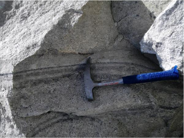 揭秘!珠峰地區究竟有哪些“稀世珍寶”? 揭秘!珠峰地區究竟有哪些“稀世珍寶”?