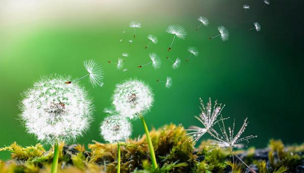 「13月亮歷」藍風暴波符(11.18-11.30):以全新的視角看待變化 「13月亮歷」藍風暴波符(11.18-11.30):以全新的視角看待變化