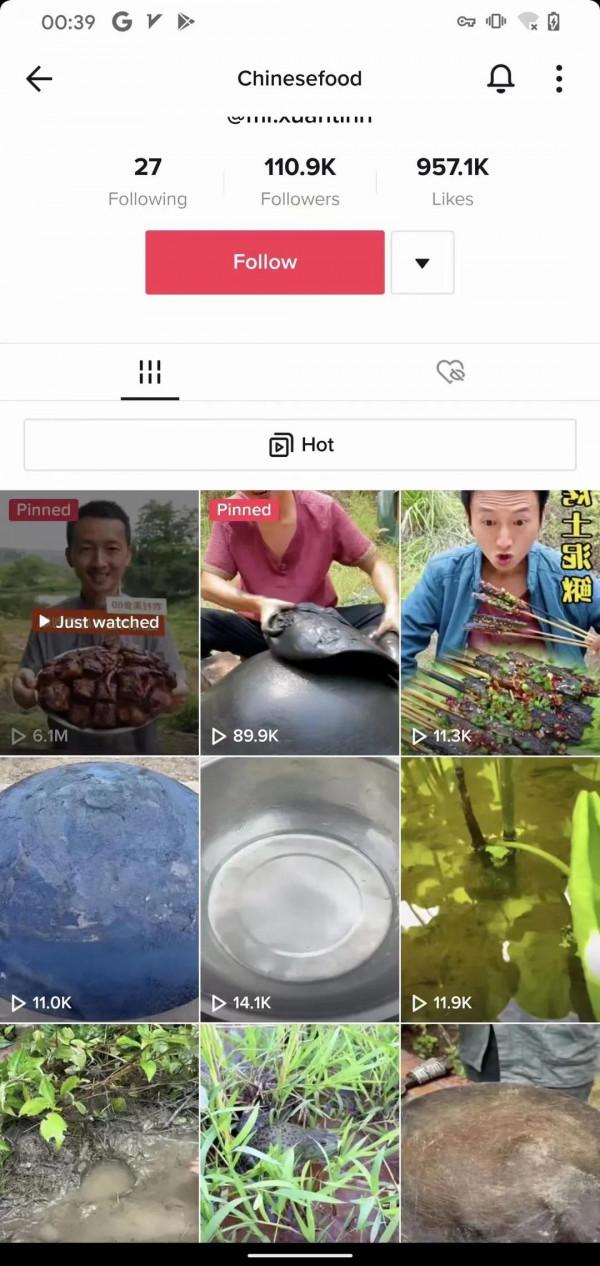 中國美食火爆外網，TikTok上有眾多“李子柒”？