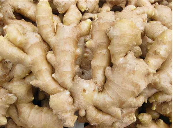 為什麼冬至要吃餃子？該怎樣去吃？一箇中醫妙方教你吃餃子