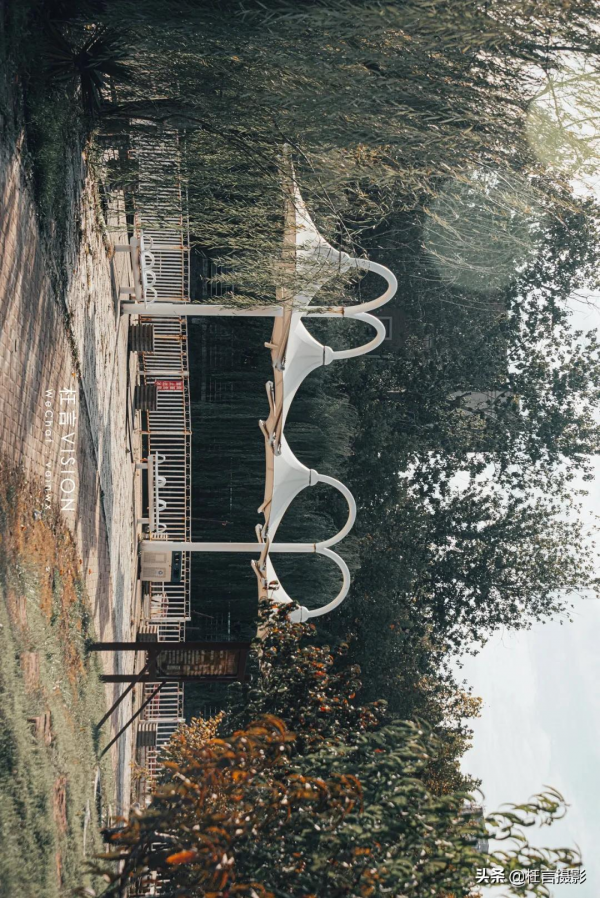 深秋在哪裡 深秋在哪裡