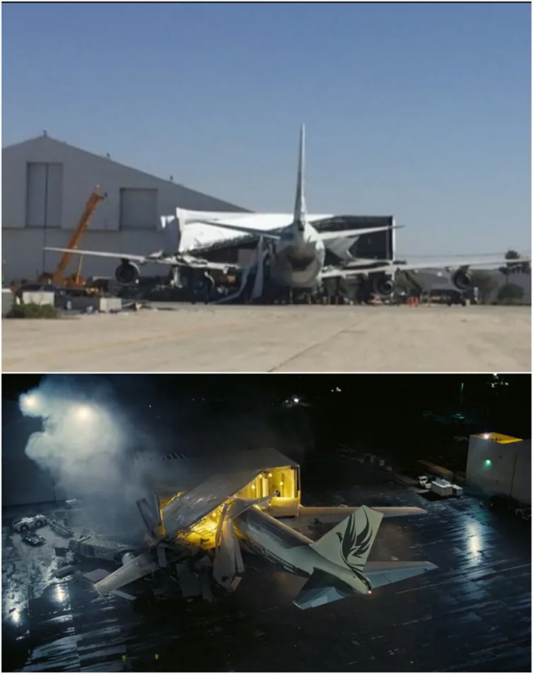 這些你以為是特效的電影場景，其實都是真的…