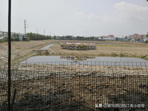 沿著岸邊的步道，貼近廣闊的自然水域，開始在海鷗島上的環島騎行
