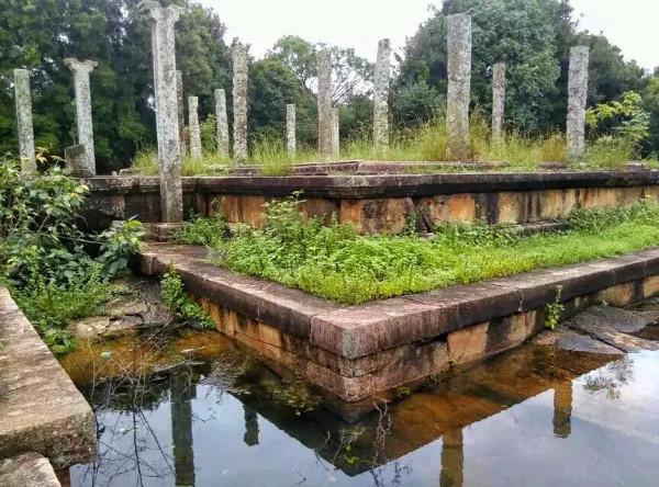 斯里蘭卡--回味無窮的青橄欖