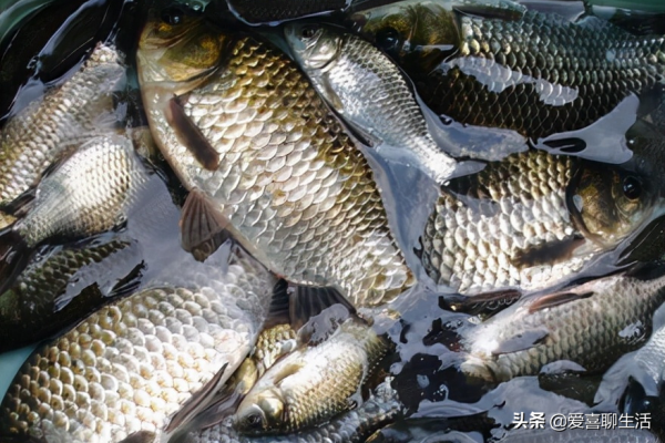 明日立冬,這8道湯不可錯過,鮮美滋補又暖身,熱乎乎出門不怕冷 明日立冬,這8道湯不可錯過,鮮美滋補又暖身,熱乎乎出門不怕冷