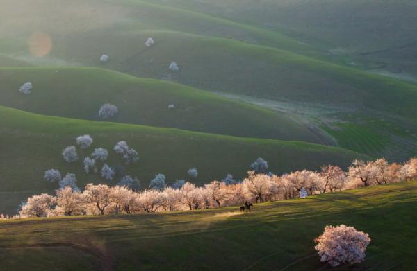 多少人的夢想!湖南姑娘用5年,在新疆禾木打造了個絕美花園 多少人的夢想!湖南姑娘用5年,在新疆禾木打造了個絕美花園