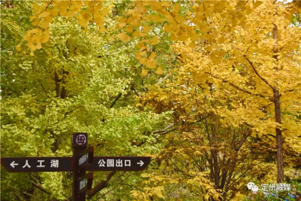 這樣的定州,也太美了吧 這樣的定州,也太美了吧