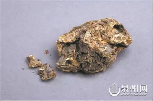 宋代古船出土 創下數箇中國之“最”