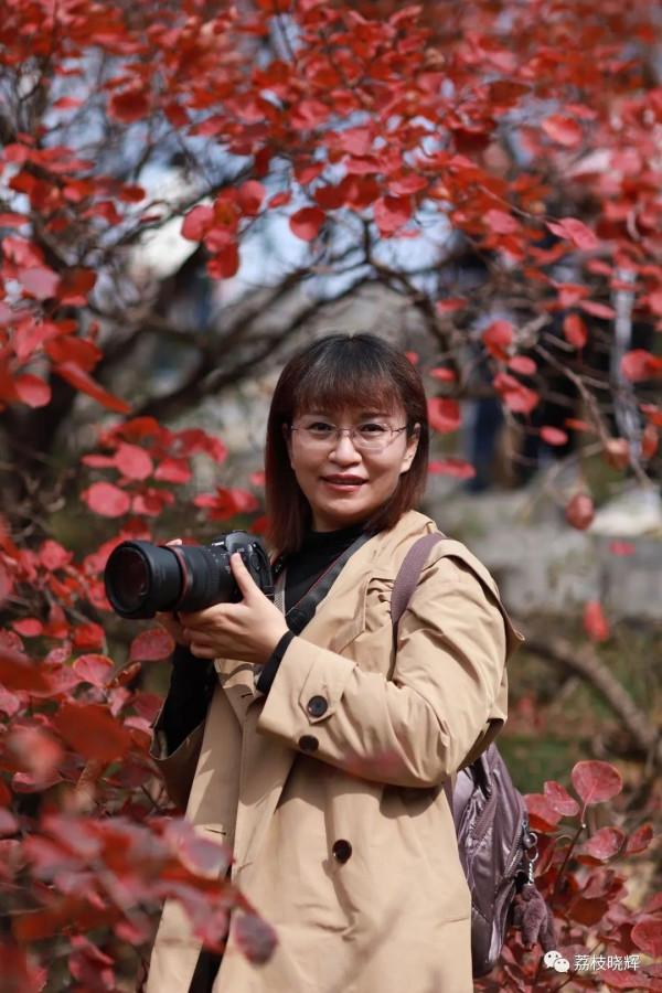 賞紅葉，不能早，也不能晚，時間一定要恰到好處