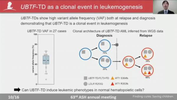 基因突變與克隆性造血有哪些聯絡，又如何指導AML危險分層？