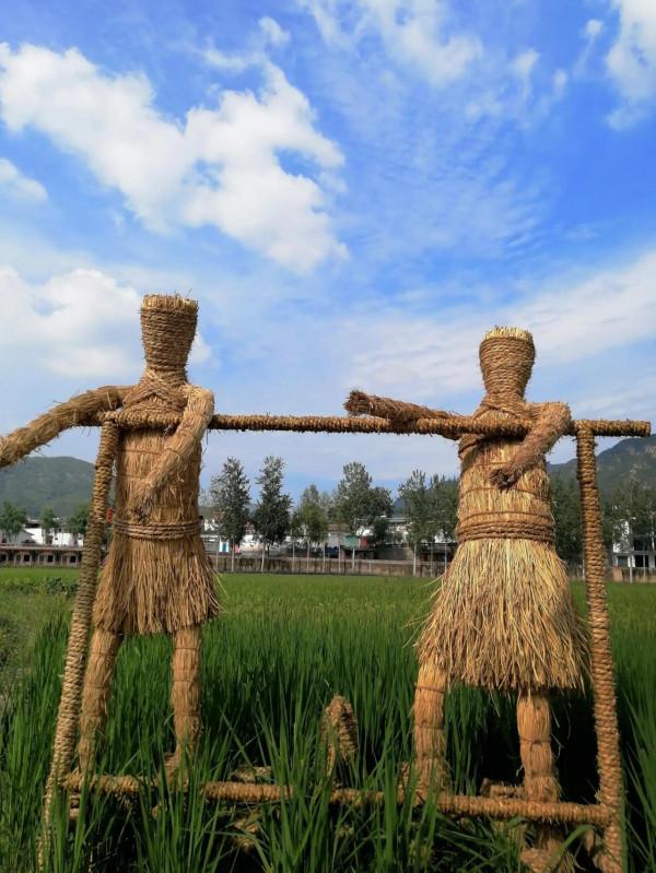 聆聽大自然的聲音