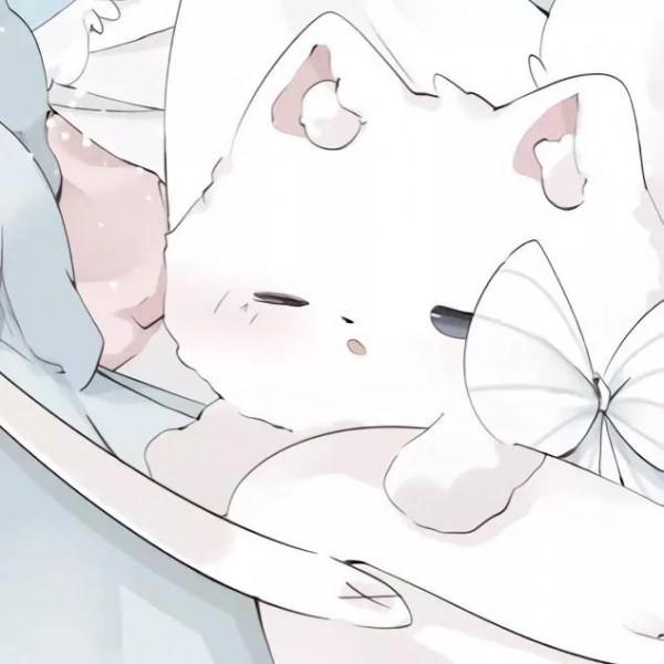 情頭·半途而廢可不好 所以我會愛你到老