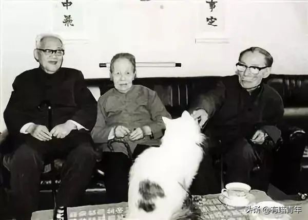 乾隆也太會給貓起名了！現代人只會：咪咪