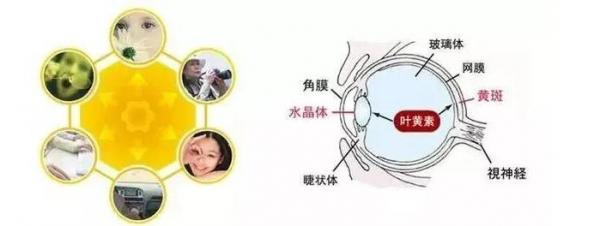 不少家長行動了，為孩子們的身心成長總結了一個高效的方法