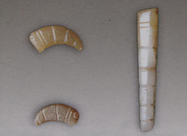 國家寶藏——陝西長安張家坡西周玉器圖錄（一）