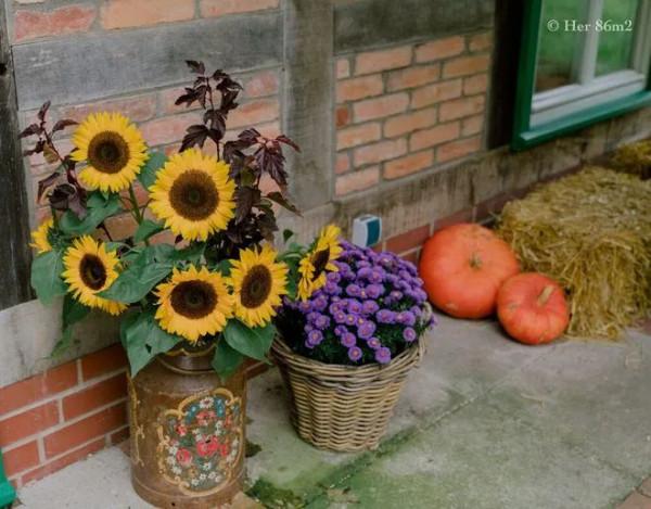 德國&quot;李子柒&quot;爆改農房過田園生活，連洗衣粉都自制