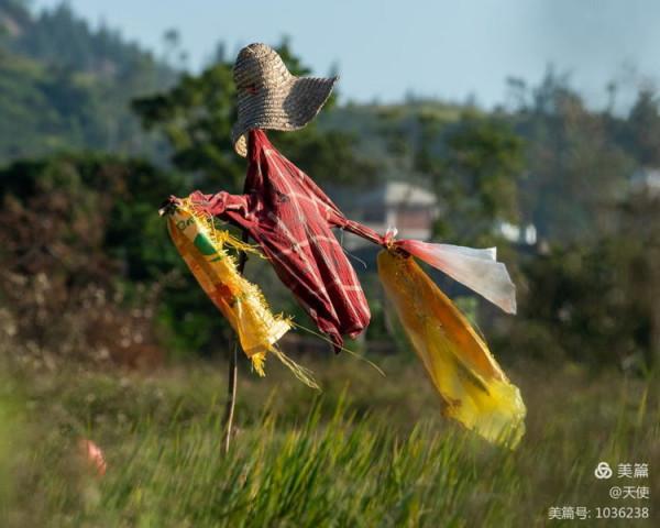 「視覺廣東」稻草人