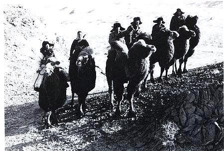 我軍副司令在銀川遇害,上級下令:一個軍全軍出動,連夜抓捕真兇 我軍副司令在銀川遇害,上級下令:一個軍全軍出動,連夜抓捕真兇