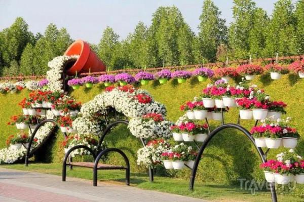 分享，最美花卉公園，收藏了