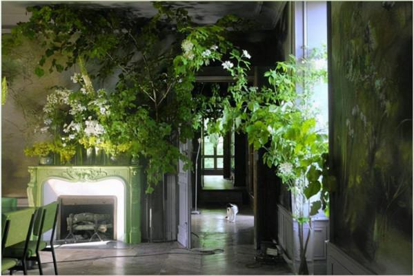 上天特賜一斗光：宅在家裡三週，好好享受著這難得的靜美時光