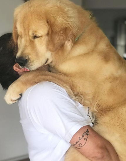 這幾種狗就是好看，但是一點都不中用，是慫狗