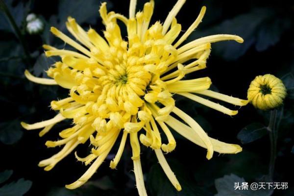 《中國無神論史》連載29——人是否可以輪迴為蟲