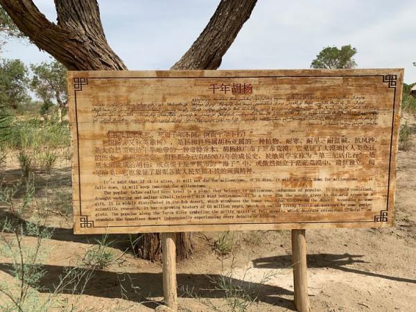 大美新疆（十）羅布人村