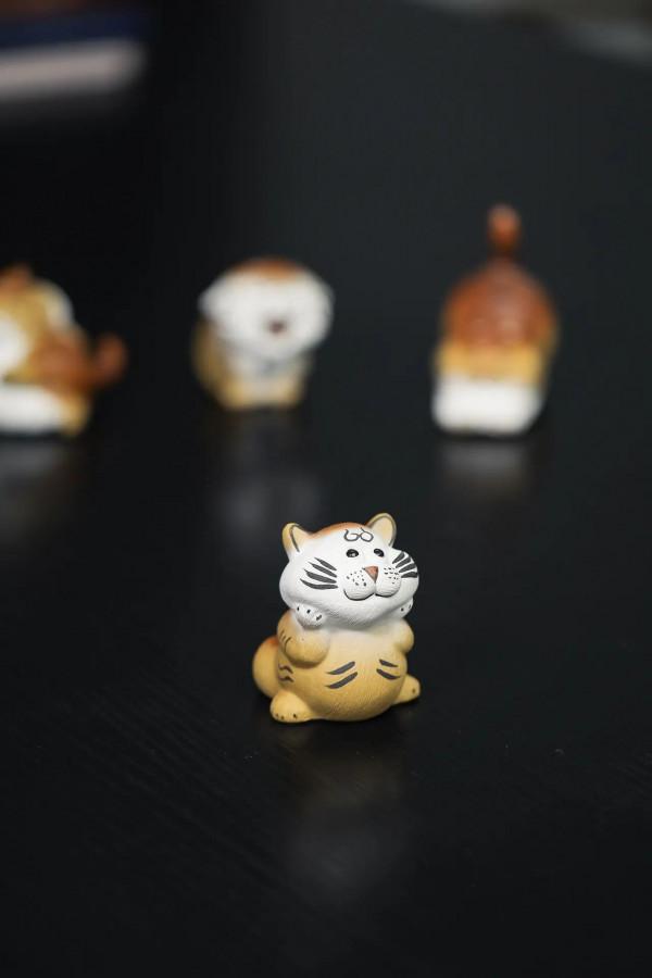 小虎萌寵，可愛嗎？