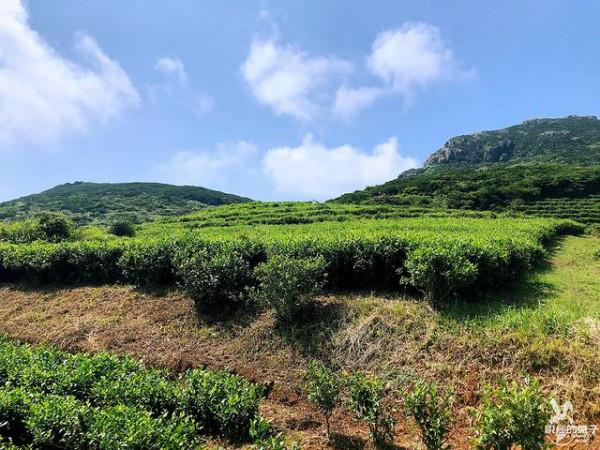野遊在大嵛山島——中國十大最美海島 野遊在大嵛山島——中國十大最美海島