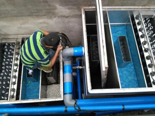 這些過濾的雷，你踩過嗎？走出過濾誤區，才能輕鬆養魚