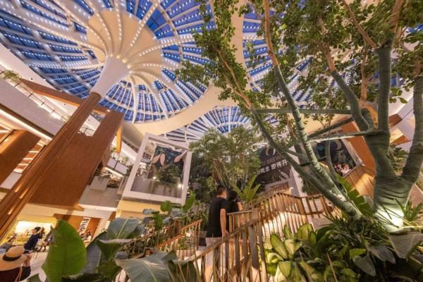 聖誕卷還是聖誕節？