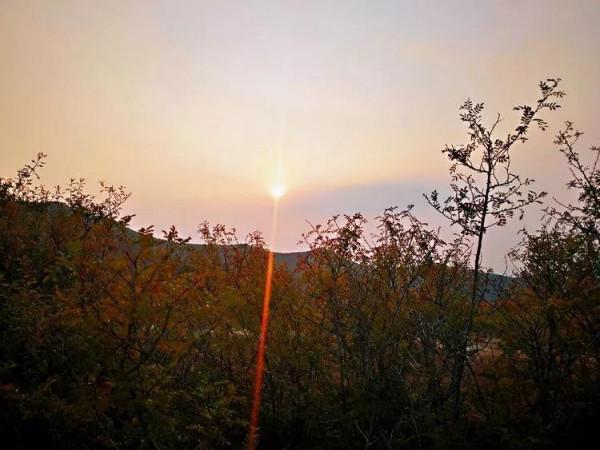 太行山最美的秋色在這裡