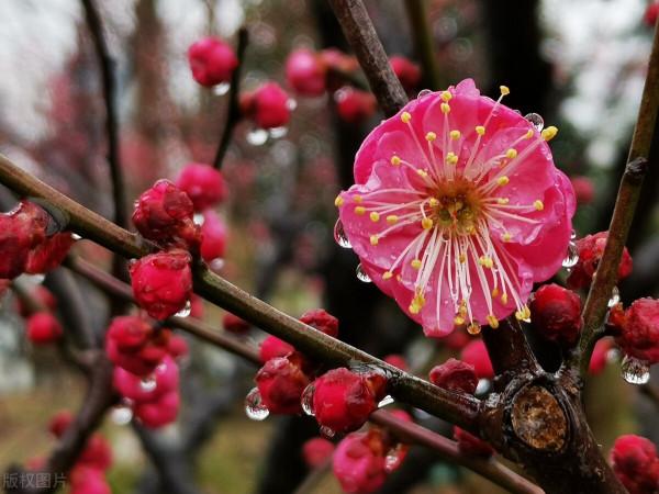 春季養生這樣做就對了