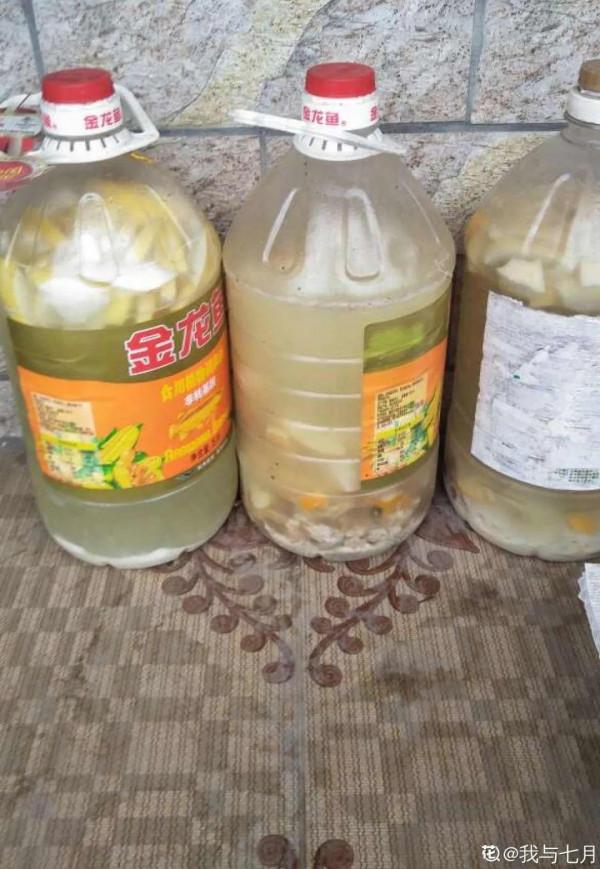 10種“垃圾”不要丟,拿來養花效果好,還能省下一筆錢 10種“垃圾”不要丟,拿來養花效果好,還能省下一筆錢