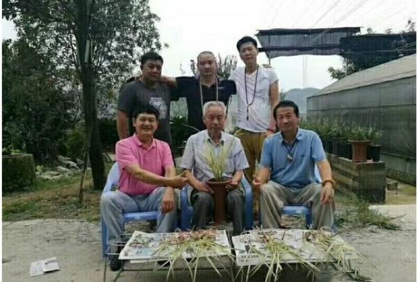 他多年前偶然收購一棵龍根小藝草，2017年，他靠此花獲利500多萬