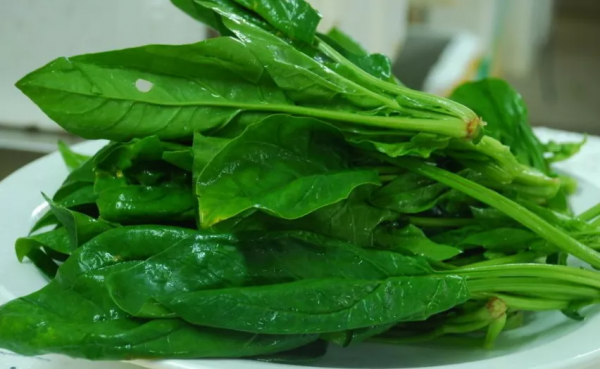 越吃越瘦食材top10 越吃越瘦食材top10