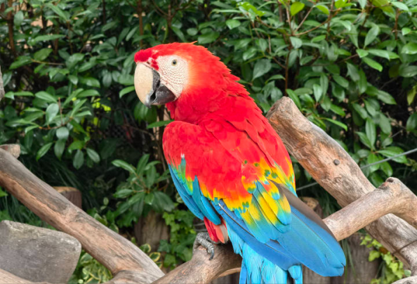 華為P50 Pro詳細體驗分享(上) 華為P50 Pro詳細體驗分享(上)