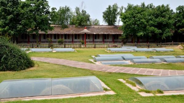 朝歌與殷墟誰是都城？紂王為何不打首都保衛戰？考古給出答案