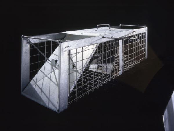 射電天文和碳基生物不得不說的故事 射電天文和碳基生物不得不說的故事