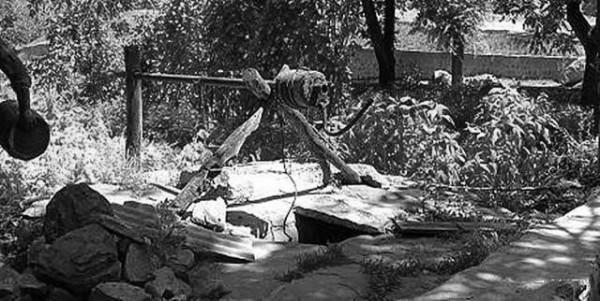 60~70年代農村20種稀少的老物件，滿滿的年代感，而我們卻老了