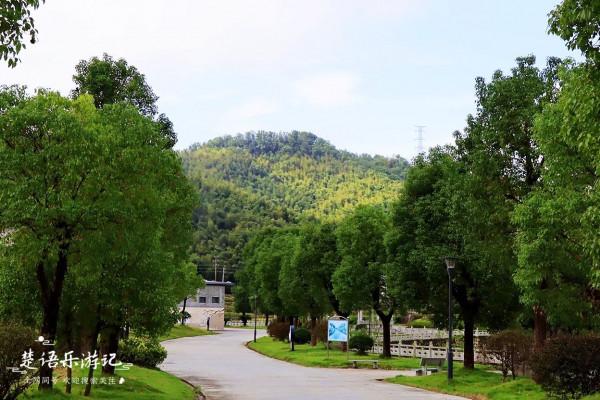 浙江寧波有一個古村依山傍水，雲起時如人間仙境，秋天居然桃花開