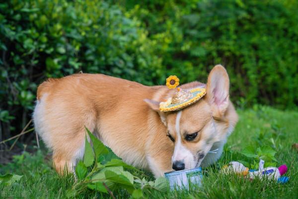 2021年度面孔|他們的故事,只有新冠病毒知道 2021年度面孔|他們的故事,只有新冠病毒知道