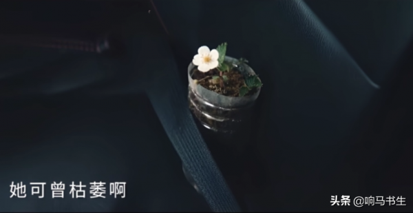 毛不易《旅行家說》，多年前的花兒和小船，成為難忘的心路歷程