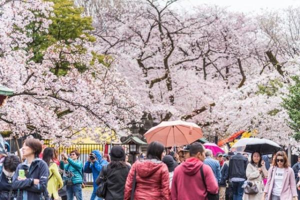 韓國超過50萬人隱居，日本有上百萬繭居族，難道只是疫情惹的禍？